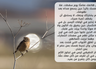 تمييز الصادقين من العابرين في حياتك